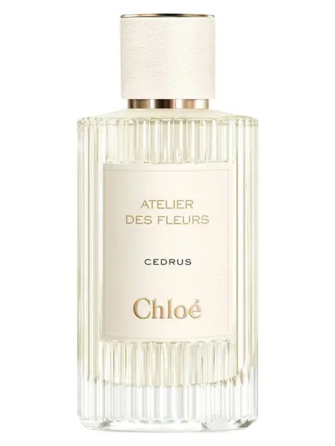 Chloé Cedrus