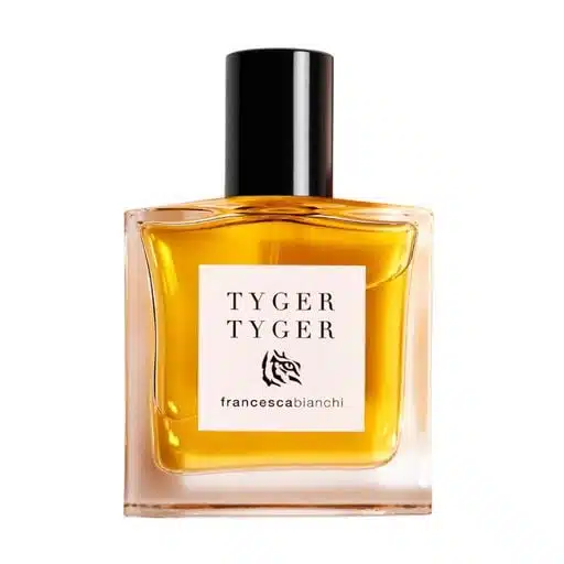 Francesca Bianchi Tyger Tyger