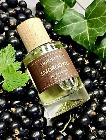 🇺🇦Smorodyna