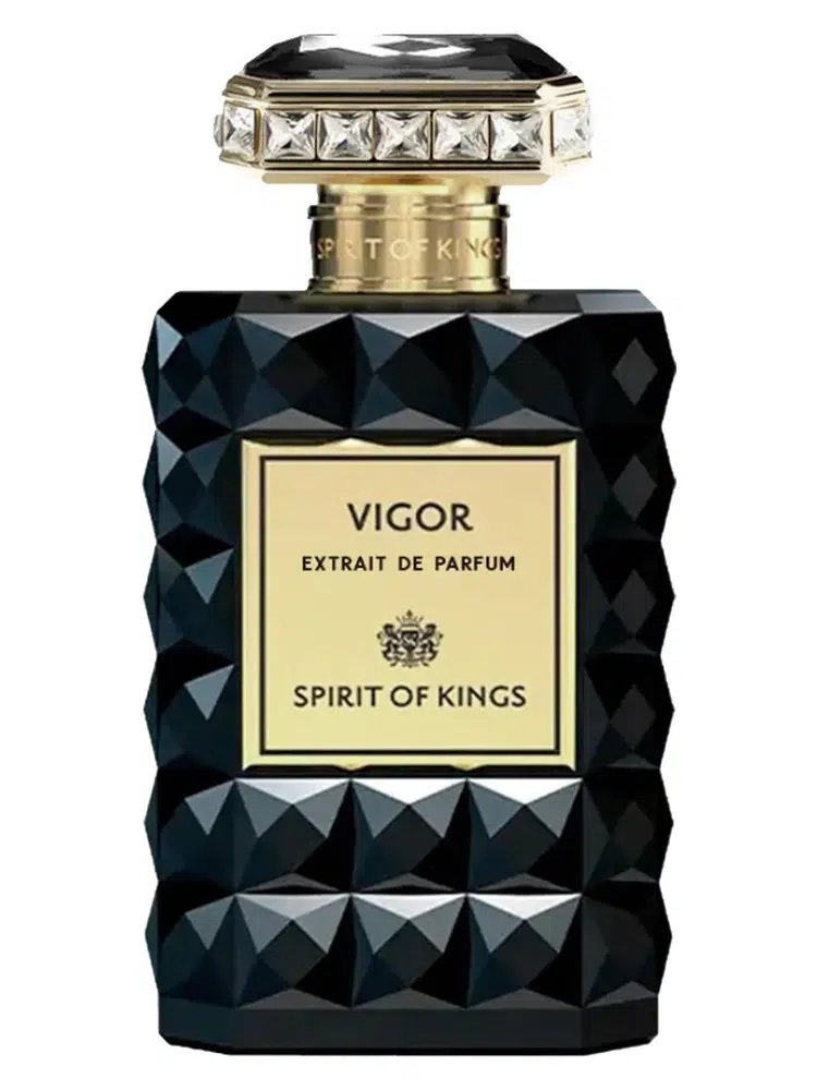 Spirit Of Kings Vigor